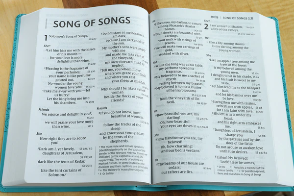 Thumbnail 30