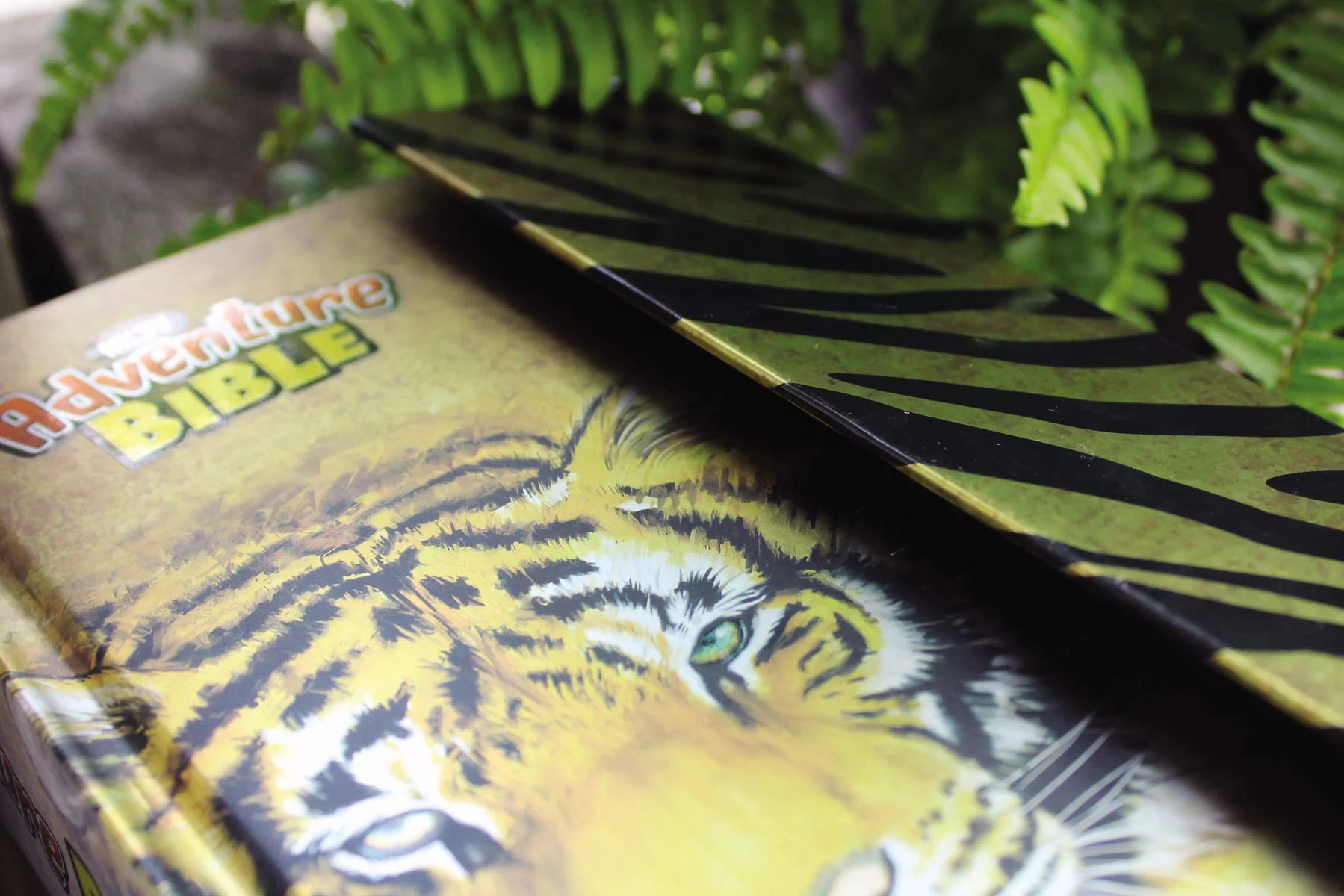 Thumbnail 18